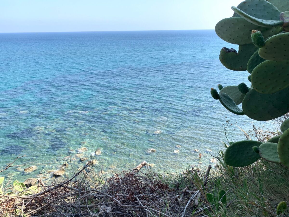 spiaggia tra pioppi e casalvelino