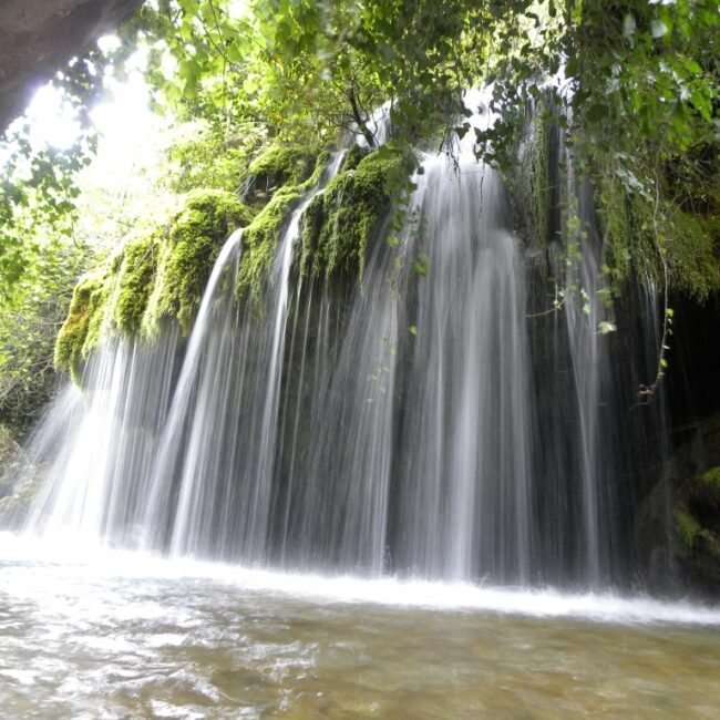 capelli di venere cascata cilento