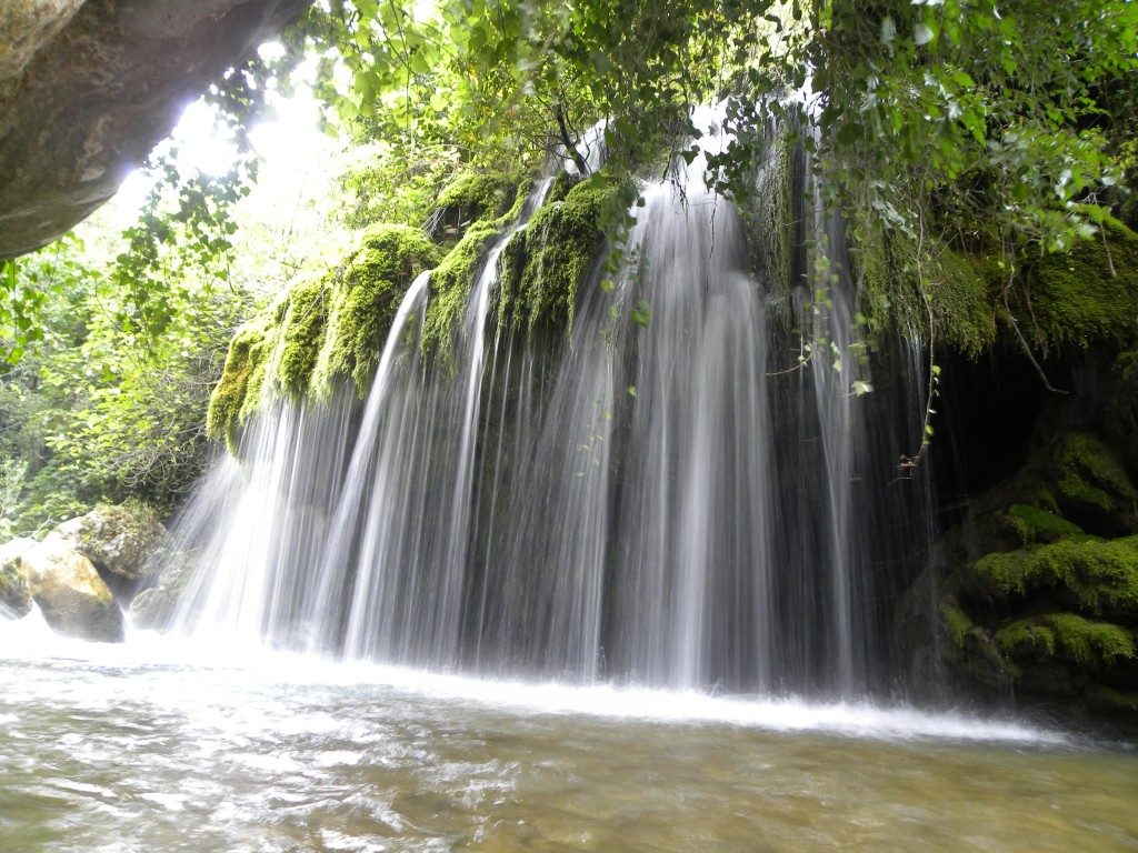 capelli di venere cascata cilento