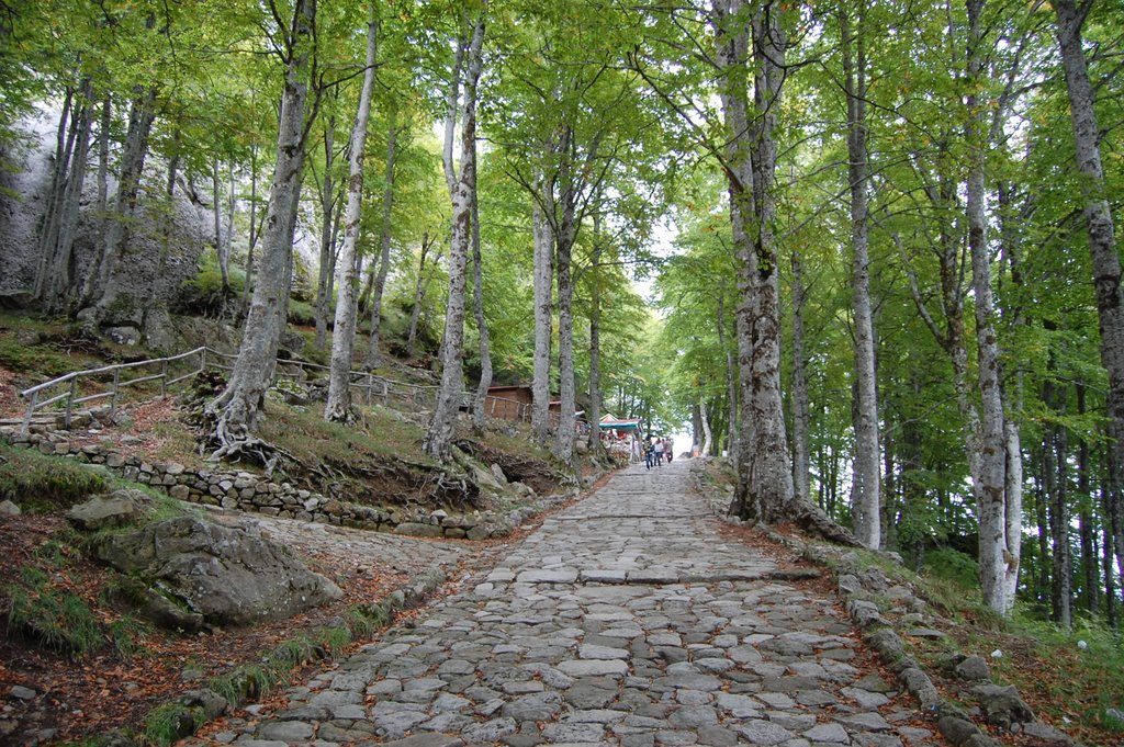 le montagne del cilento