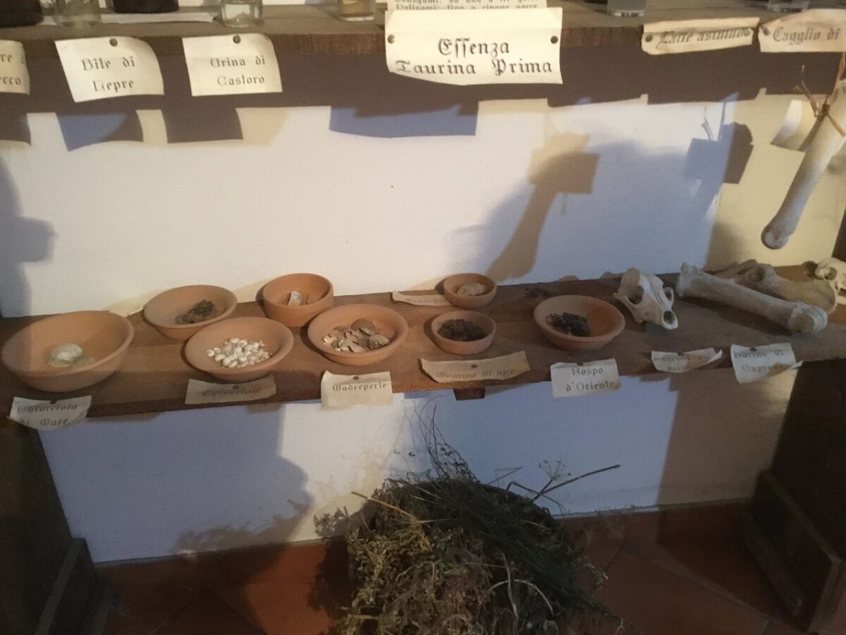 museo erbe teggiano