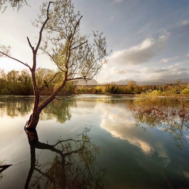 L’Oasi WWF di Persano