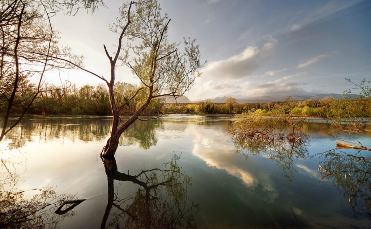 L’Oasi WWF di Persano