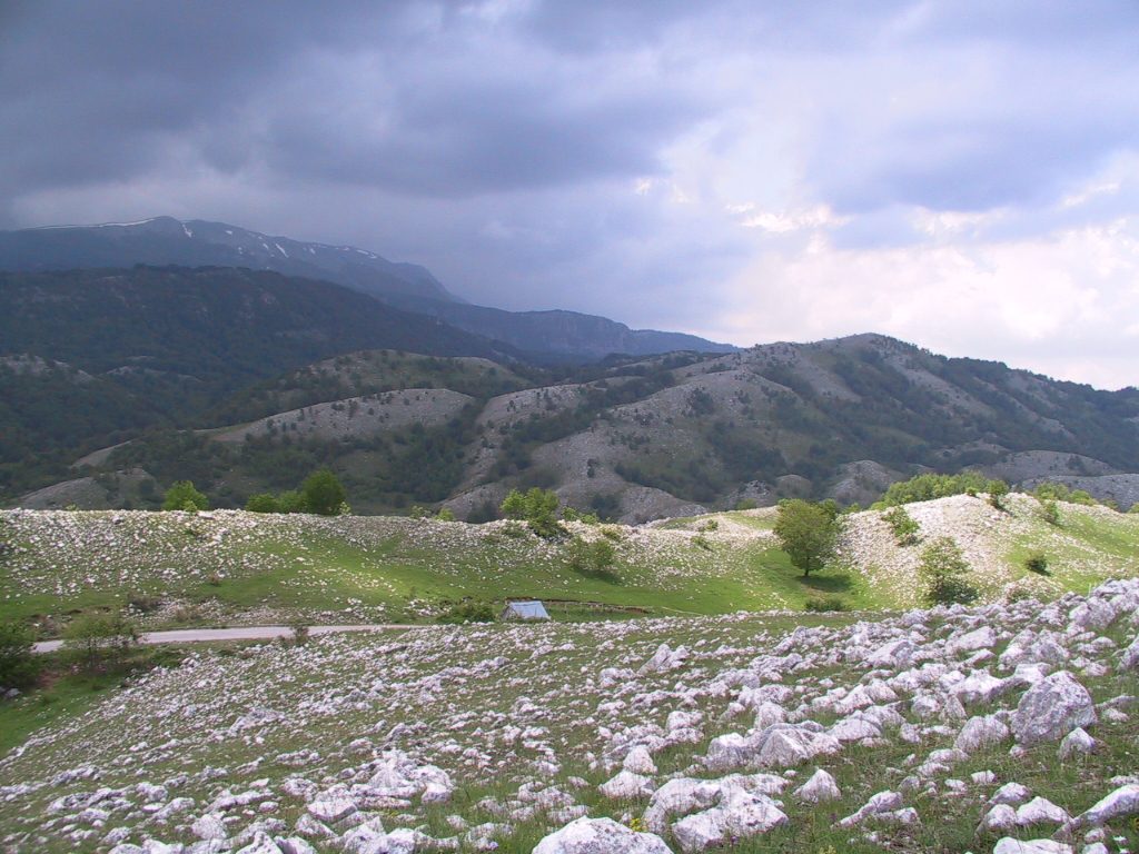 valle orchidee a sassano