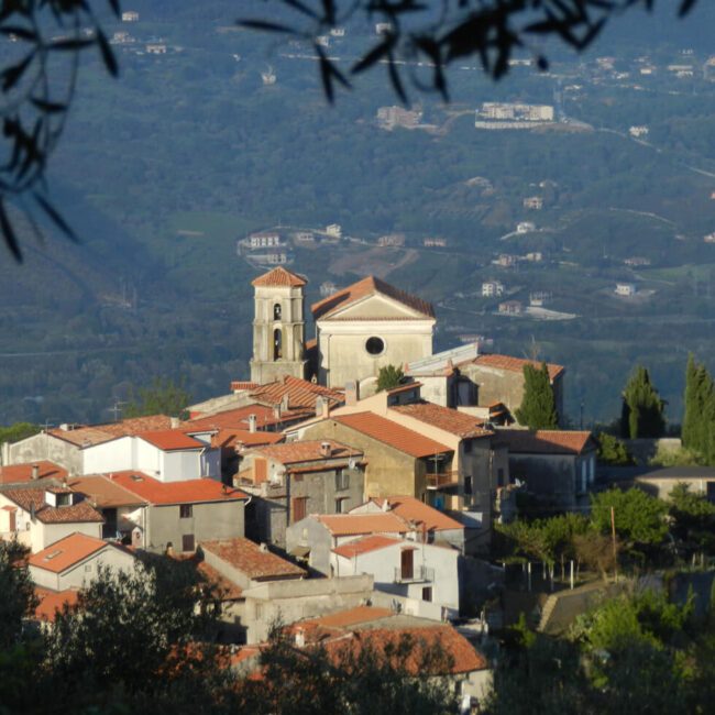 Bosco di San Giovanni a Piro in CIlento
