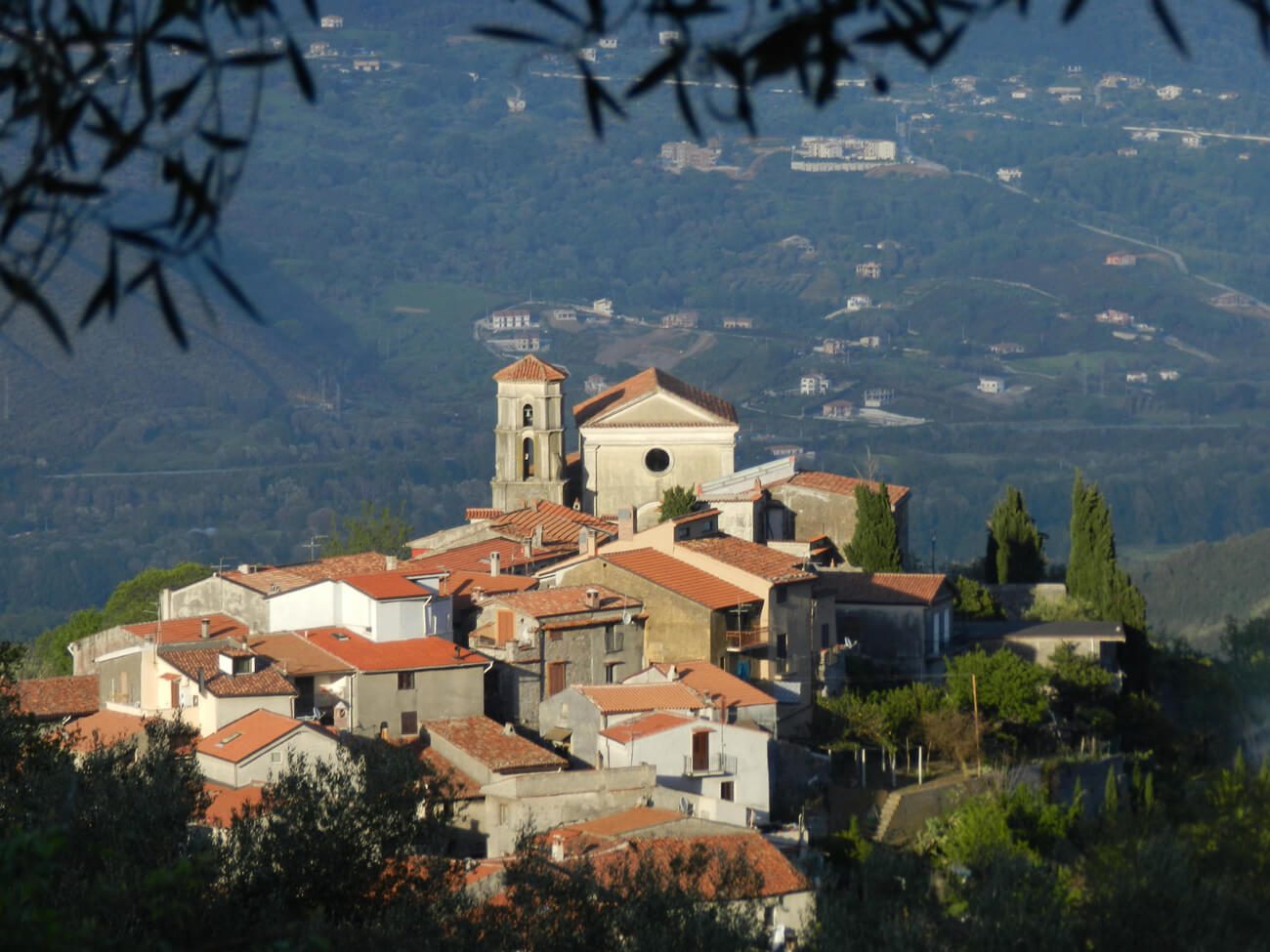 Bosco di San Giovanni a Piro in CIlento