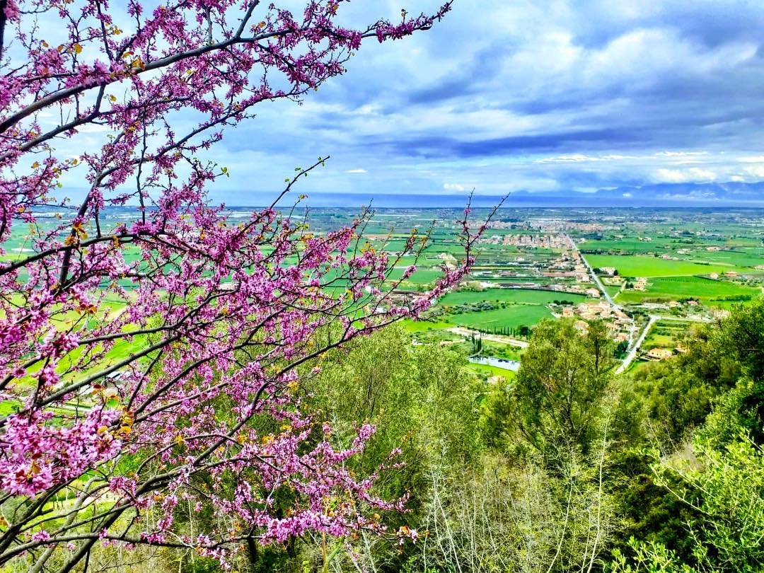 madonna del granato capaccio