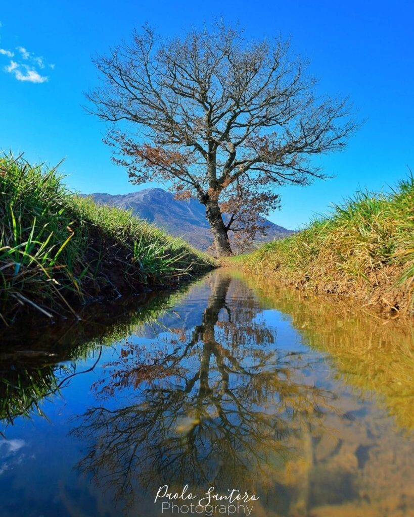 Teggiano: Dona a chi mai ali per volare, radici per tornare e motivi per rimanere.