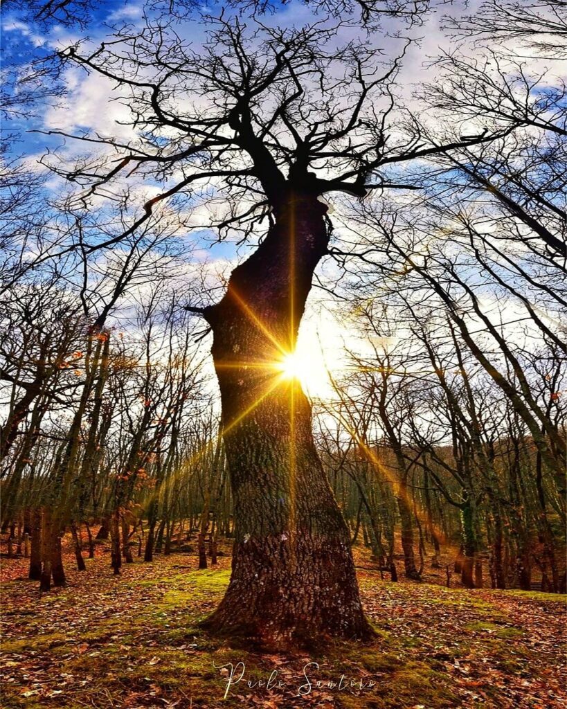 San Pietro al Tanagro - Parco dei mulini: Un paesaggio da incorniciare