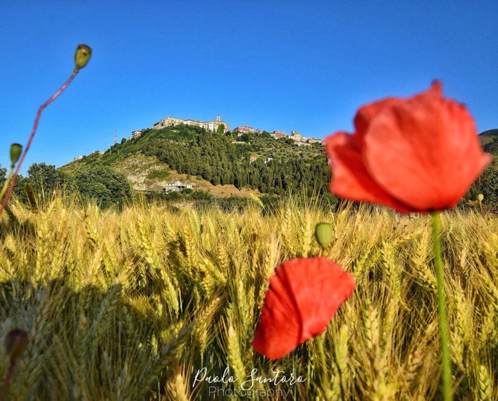 Visione estiva di Teggiano