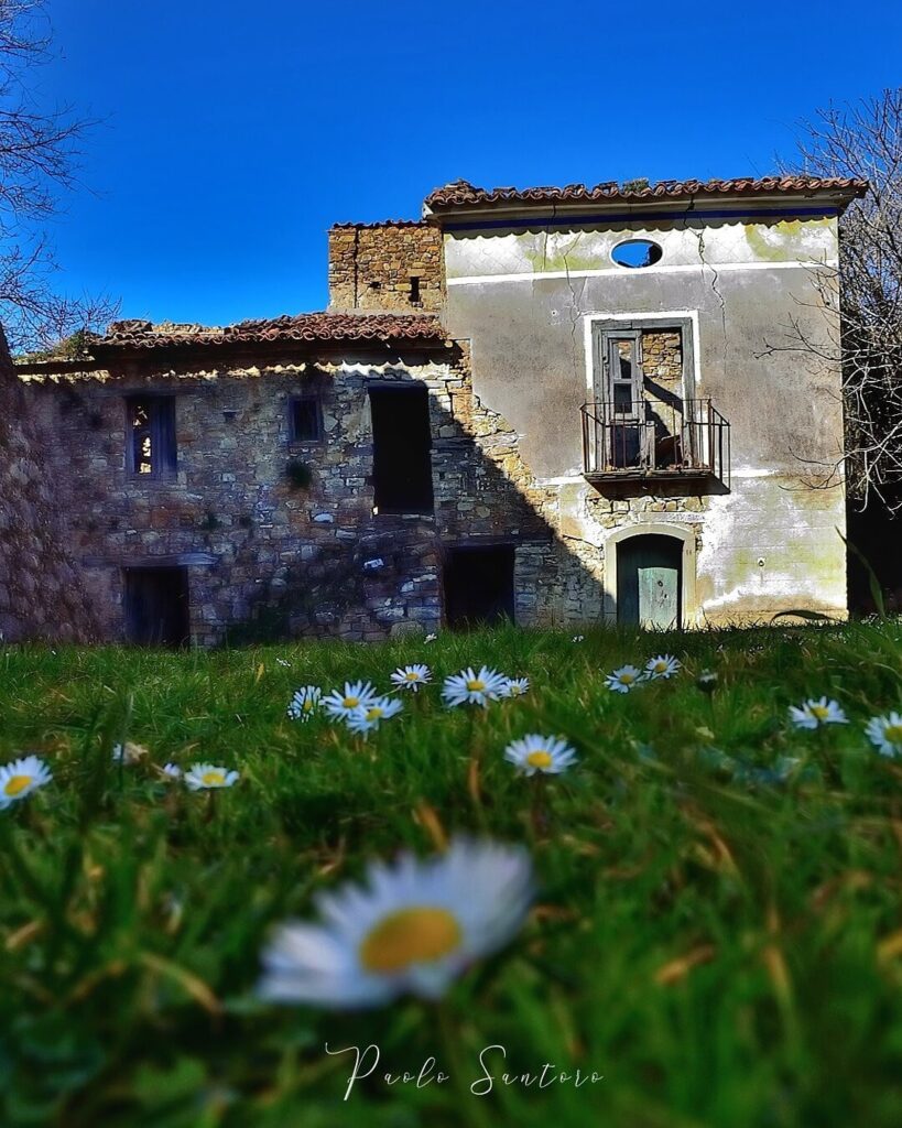 Roscigno vecchia: La primavera porta nuova vita tra i ruderi