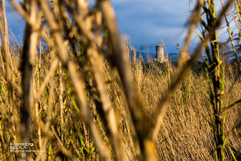 Torre di Velia, Ascea.