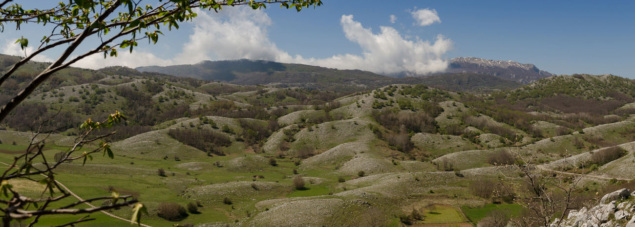 valle-orchidee-sassano