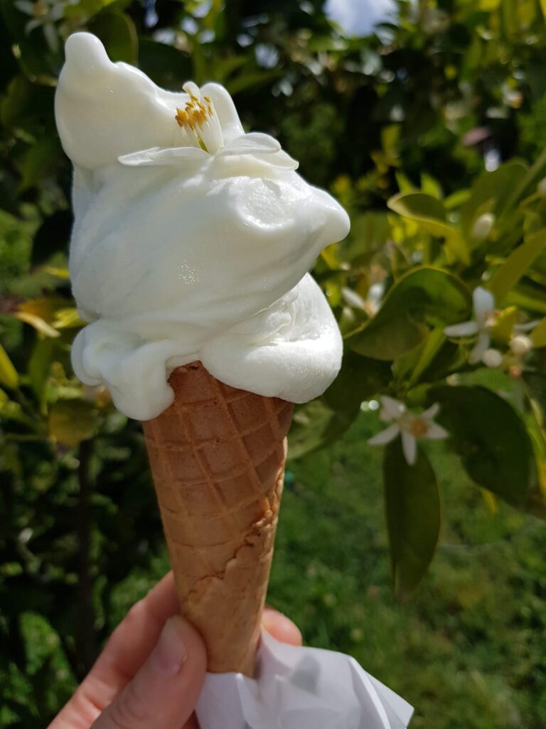 gelato artigianale tenuta chirico