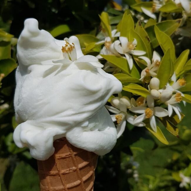 gelato artigianale tenuta chirico cilento