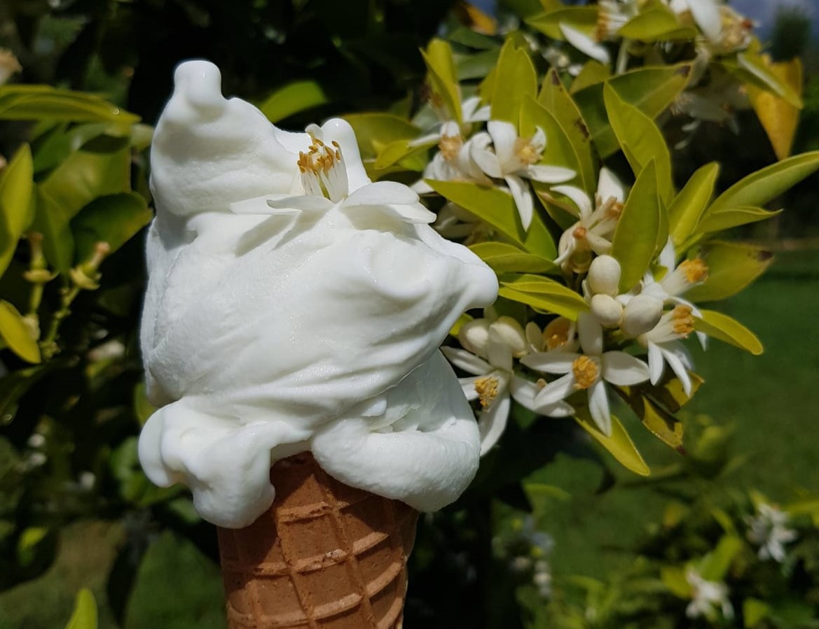 gelato artigianale tenuta chirico cilento